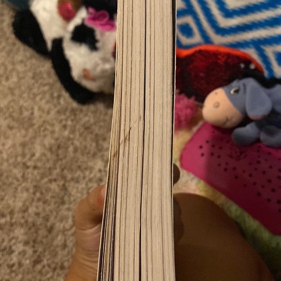 Book- The Sun is Also A Star by Nicola Yoon - Picture 3 of 3